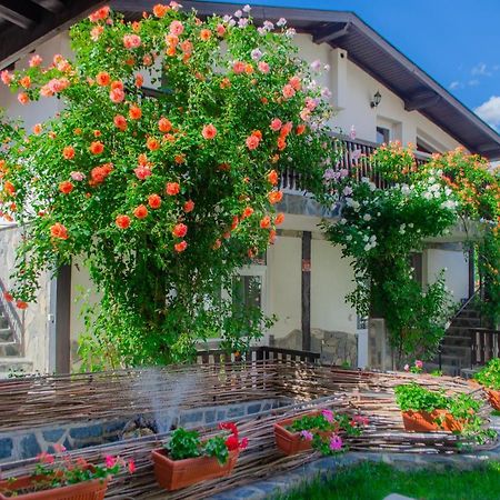 Guest House Via Sapareva Banya Esterno foto